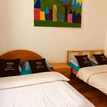Old Citycenter Apartment Graz